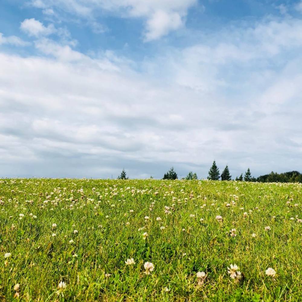 Meet your Posher, Annette